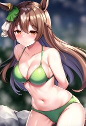 Rule 34 | 1girl, absurdres, animal ears, arms behind back, bare shoulders, bikini, blush, bow, braid, breasts, brown eyes, brown hair, cleavage, closed mouth, collarbone, commentary request, ear ornament, ear ribbon, french braid, gluteal fold, green bikini, green ribbon, hair between eyes, highres, horse ears, horse girl, horse tail, large breasts, long hair, looking at viewer, mitomumitomu, navel, ribbon, satono diamond (umamusume), sideboob, smile, solo, standing, swimsuit, tail, umamusume, very long hair