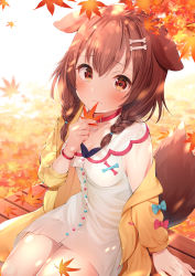 Rule 34 | 1girl, :3, absurdres, ahoge, animal ears, bench, blue bow, bone hair ornament, bow, braid, breasts, brown eyes, brown hair, cleavage, commentary request, dog ears, dog girl, dog tail, from above, hair ornament, hairclip, highres, hololive, inugami korone, inugami korone (1st costume), jacket, leaf, looking at viewer, low twin braids, medium breasts, nari (narikashi), outdoors, pink bow, sitting, smile, tail, twin braids, virtual youtuber, yellow jacket