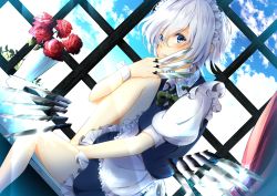 Rule 34 | 1girl, apron, bad id, bad pixiv id, between fingers, between legs, blue eyes, blue sky, braid, cloud, commentary request, curtains, day, dutch angle, flower, hand between legs, highres, holding, hugging own legs, indoors, izayoi sakuya, knee to chest, knife, looking at viewer, maid headdress, miri (miri0xl), parted lips, puffy short sleeves, puffy sleeves, red flower, red rose, rose, short hair, short sleeves, sideways glance, silver hair, sitting, skirt, skirt set, sky, solo, touhou, twin braids, vase, waist apron, window, windowsill, wrist cuffs