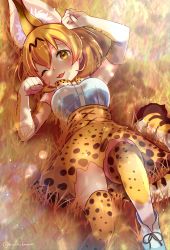 Rule 34 | 10s, 1girl, ;3, absurdres, animal ears, artist name, bare shoulders, blonde hair, blush, bow, bowtie, breasts, elbow gloves, full body, gloves, grass, highres, kemono friends, large breasts, looking at viewer, lying, nou (nounknown), on back, on grass, one eye closed, open mouth, paw pose, serval (kemono friends), serval print, serval tail, short hair, sleeveless, smile, solo, tail, thighhighs, wavy mouth, yellow eyes, zettai ryouiki