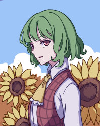 Rule 34 | 1girl, absurdres, ascot, collared shirt, commentary, field, flower, flower field, garden of the sun, green hair, highres, kame (kamepan44231), kazami yuuka, long sleeves, plaid, plaid vest, red eyes, red vest, shirt, short hair, smile, solo, sunflower, sunflower field, touhou, vest, wavy hair, white shirt, yellow ascot