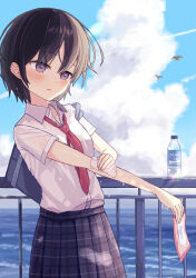 Rule 34 | 1girl, bag, bird, black hair, blue sky, blush, bottle, breasts, cloud, cloudy sky, collared shirt, contrail, day, drink, dripping, enokitake, highres, kerchief, looking down, loose necktie, necktie, open collar, original, outdoors, parted lips, plaid, plaid skirt, purple eyes, railing, school bag, school uniform, seaside, see-through, see-through sleeves, shirt, short hair, short sleeves, skirt, sky, small breasts, summer, sweat, sweaty clothes, uniform, upper body, water, wiping sweat