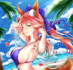 Rule 34 | 10s, 1girl, animal ear fluff, animal ears, armpits, arms up, bare shoulders, beach, bikini, blue bikini, blue bow, blue sky, blurry, blurry foreground, bow, breasts, brown eyes, cloud, collarbone, commentary request, day, depth of field, dutch angle, fate/extra, fate (series), flower, fox ears, fox girl, fox tail, hair between eyes, hair bow, hair flower, hair ornament, large breasts, long hair, melings (aot2846), o-ring, o-ring top, ocean, outdoors, palm tree, parted lips, petals, pink hair, red flower, revision, sand, see-through, sky, smile, solo, swimsuit, tail, tamamo (fate), tamamo no mae (fate/extra), tamamo no mae (swimsuit lancer) (fate), tree, twintails, v-shaped eyebrows, water