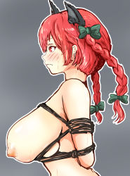 Rule 34 | 1girl, animal ears, arms behind back, bdsm, bondage, bound, bound arms, bow, box tie, braid, breasts, cat ears, from side, hair bow, highres, hinben, huge breasts, kaenbyou rin, multiple tails, nipples, nude, profile, red eyes, red hair, restrained, rope, shibari, solo, tail, touhou, twin braids, upper body