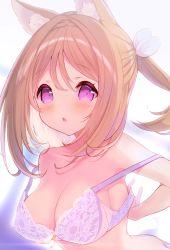 Rule 34 | 1girl, animal ear fluff, animal ears, bare shoulders, blurry, blurry background, blush, bra, breasts, brown hair, character request, chestnut mouth, cleavage, commentary request, depth of field, hair between eyes, hair ribbon, looking at viewer, medium breasts, mofu-mofu after school, mofumofu channel, p19, panties, parted lips, ponytail, purple bra, purple eyes, purple panties, ribbon, solo, strap slip, underwear, upper body, white ribbon