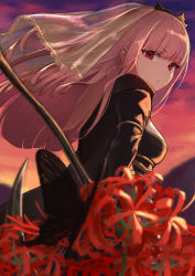 Rule 34 | 1girl, arimoto wataru, black cloak, black dress, black headwear, blunt bangs, blurry, blurry foreground, breasts, bug, butterfly, cloak, closed mouth, cloud, cloudy sky, commentary, commentary request, depth of field, dress, dusk, english commentary, expressionless, floating hair, flower, from side, highres, hololive, hololive english, insect, long hair, looking at viewer, medium breasts, mori calliope, pink hair, purple sky, red eyes, red flower, red sky, scythe, sky, solo, spider lily, straight hair, tiara, upper body, veil, virtual youtuber, wind