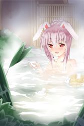Rule 34 | 1girl, animal ears, bad id, bad pixiv id, bathing, blush, bottle, breasts, rabbit ears, cup, female focus, floating, floating object, hair up, nagatsuki shiwasu, onsen, open mouth, pink hair, red eyes, reisen udongein inaba, sake bottle, small breasts, smile, solo, steam, tokkuri, touhou