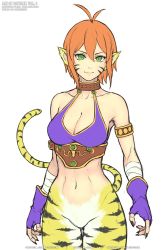 Rule 34 | 1girl, animal ears, breasts, breath of fire, breath of fire ii, bustier, cat ears, cat tail, cleavage, closed mouth, facial mark, fingerless gloves, furry, furry female, gloves, gofelem, green eyes, jewelry, looking at viewer, no panties, no pants, orange hair, pointy ears, rinpoo chuan, short hair, simple background, smile, solo, tail, white background