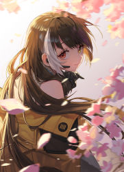 Rule 34 | 1girl, black hair, blunt bangs, cherry blossoms, girls&#039; frontline, heterochromia, highres, long hair, low twintails, multicolored hair, red eyes, ro635 (girls&#039; frontline), smile, solo, streaked hair, sugarhigh, twintails, yellow eyes