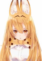 Rule 34 | 10s, 1girl, :o, alternate hair length, alternate hairstyle, animal ears, bad id, bad pixiv id, bow, bowtie, breasts, brown eyes, hair between eyes, kemono friends, light brown hair, long hair, looking at viewer, open mouth, serval (kemono friends), serval print, simple background, solo, tr (kangtw123), upper body, white background
