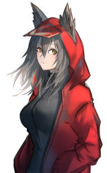 Rule 34 | 1girl, animal ears, arknights, black one-piece swimsuit, blush, breasts, casual one-piece swimsuit, cornerofawell, ears through headwear, grey hair, hair between eyes, hands in pockets, highres, hood, hood up, hooded jacket, jacket, long hair, medium breasts, official alternate costume, one-piece swimsuit, open clothes, open jacket, projekt red (arknights), projekt red (light breeze) (arknights), red jacket, simple background, solo, swimsuit, upper body, white background, wolf ears, yellow eyes