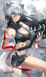 Rule 34 | 1girl, absurdres, animal ears, arknights, bare shoulders, black scarf, black shorts, bow, bow (weapon), breasts, cat ears, commentary request, cowboy shot, crop top, crossbow, grey eyes, highres, holding, holding bow (ornament), holding crossbow, holding weapon, hotate-chan, jacket, large breasts, long hair, long sleeves, looking at viewer, midriff, navel, off shoulder, open clothes, open jacket, partial commentary, scarf, schwarz (arknights), short shorts, shorts, silver hair, solo, standing, stomach, thighs, weapon, white jacket