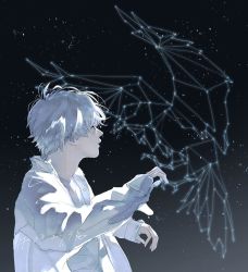 Rule 34 | 1boy, backlighting, bird, bird on hand, constellation, dated, from side, jacket, male focus, night, night sky, rido (ridograph), sky, solo, star (sky), star (symbol), starry sky, white eyes, white hair