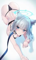 Rule 34 | 1girl, absurdres, all fours, animal ear fluff, animal ears, ass, back, bare arms, barefoot, black bra, black panties, blue archive, blue eyes, blue hair, blush, bra, breasts, cat ears, cleavage, collar, cross hair ornament, embarrassed, full body, hair ornament, halo, highres, kazane-wind, kneeling, leash, looking at viewer, medium breasts, panties, paw pose, pet play, shadow, shiroko (blue archive), short hair, sidelocks, solo, underwear, viewer holding leash, white background