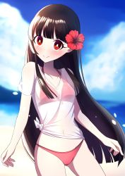 Rule 34 | 1girl, alternate costume, arms at sides, beach, bikini, black hair, blue sky, blunt bangs, blush, breasts, bright pupils, cloud, collarbone, commentary request, cowboy shot, day, flower, hair flower, hair ornament, head tilt, hibiscus, highres, hime cut, houraisan kaguya, long hair, looking at viewer, ocean, outdoors, red bikini, red eyes, see-through, shirt, sky, small breasts, smile, solo, standing, swimsuit, t-shirt, thigh gap, touhou, tsukimirin, white pupils