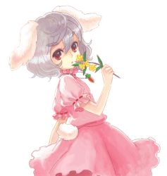 Rule 34 | 1girl, animal ears, carrot, female focus, flower, inaba tewi, kemuma, rabbit ears, rabbit girl, rabbit tail, red eyes, simple background, solo, standing, tail, touhou, white background