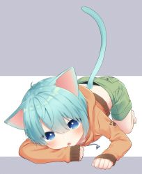 Rule 34 | 1boy, animal ears, blue eyes, blue hair, cat ears, cat tail, child, green shorts, highres, jacket, letterboxed, looking at viewer, open mouth, orange jacket, original, os (os fresa), shorts, souta (os), tail, twitter username