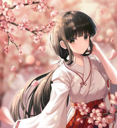 Rule 34 | 1girl, arm up, black eyes, black hair, blunt bangs, blush, branch, breasts, cherry blossoms, closed mouth, commentary, day, falling petals, feet out of frame, hakama, hakama skirt, inuyasha, japanese clothes, kikyou (inuyasha), kimono, large breasts, long hair, long sleeves, looking at viewer, looking back, miko, mookyuu9, petals, red hakama, ribbon-trimmed sleeves, ribbon trim, sidelocks, skirt, smile, solo, standing, very long hair, white kimono, wide sleeves