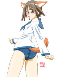 Rule 34 | 00s, 1girl, :d, animal ears, ass, blue neckerchief, blue one-piece swimsuit, blush, breasts, brown eyes, brown hair, calypso, cowboy shot, dog ears, dog tail, embarrassed, hair between eyes, long sleeves, looking at viewer, miyafuji yoshika, neckerchief, no pants, nose blush, one-piece swimsuit, open mouth, school swimsuit, school uniform, serafuku, shiny skin, short hair, small breasts, smile, solo, standing, strike witches, swimsuit, swimsuit under clothes, tail, tareme, world witches series
