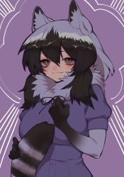 Rule 34 | 1girl, animal ears, black hair, brown eyes, common raccoon (kemono friends), elbow gloves, extra ears, gloves, grey hair, highres, kemono friends, long hair, looking at viewer, multicolored hair, notora, purple background, raccoon ears, raccoon girl, raccoon tail, scarf, shirt, simple background, solo, tail, two-tone hair
