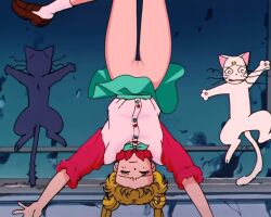 Rule 34 | 1990s (style), arms up, artemis (sailor moon), bag, bishoujo senshi sailor moon, blonde hair, blush, cat, closed eyes, closed mouth, derivative work, green skirt, loafers, loodncrood, luna (sailor moon), miniskirt, no panties, nude filter, pussy, retro artstyle, ribbon, screenshot redraw, shoes, skirt, third-party edit, tsukino usagi, twintails, upside-down
