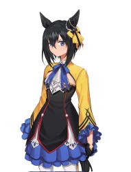 Rule 34 | 1girl, animal ears, black hair, blue eyes, blue ribbon, bow, commentary, cowboy shot, dance in the mood (racehorse), dress, ear bow, ear ornament, frilled sleeves, frills, fukuro (maruaru00), gem, hair between eyes, highres, horse ears, layered dress, long sleeves, looking at viewer, neck ribbon, original, pearl (gemstone), personification, ribbon, short hair, sideways glance, simple background, solo, umamusume, white background, yellow bow