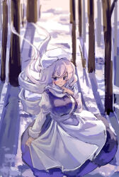 Rule 34 | 1girl, apron, bare tree, breasts, closed mouth, commentary, highres, juliet sleeves, lapel pin, large breasts, letty whiterock, long hair, long sleeves, looking at viewer, looking to the side, outdoors, puffy sleeves, shouxishao jiuyuan, solo, symbol-only commentary, touhou, tree, waist apron, white apron, white hair, white headwear