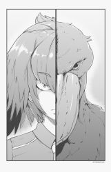 Rule 34 | 1girl, bird, closed mouth, commentary, creature and personification, english commentary, feather hair, greyscale, jitome, kemono friends, looking at viewer, medium hair, monochrome, necktie, portrait, shoebill, shoebill (kemono friends), solo, staring, twitter username, tyrone
