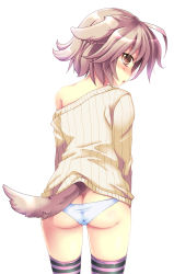 Rule 34 | 1girl, animal ears, ass, blue panties, blush, brown eyes, brown hair, butt crack, dog ears, dog tail, highres, looking back, no pants, off shoulder, original, panties, shinolion, short hair, solo, striped clothes, striped thighhighs, sweater, tail, takitsume shino, tears, thighhighs, underwear