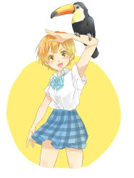 Rule 34 | 1girl, :3, animal on arm, arm up, bird, bird on arm, blue bow, blue bowtie, blue skirt, bow, bowtie, breasts, collared shirt, commentary request, cowboy shot, cropped legs, dress shirt, fang, highres, hoshizora rin, kashikaze, looking at viewer, love live!, love live! school idol project, open mouth, orange hair, otonokizaka school uniform, plaid, plaid skirt, school uniform, shirt, shirt tucked in, short hair, short sleeves, simple background, skirt, small breasts, solo, striped bow, striped bowtie, striped clothes, toucan, two-tone background, white background, white shirt, yellow background, yellow eyes