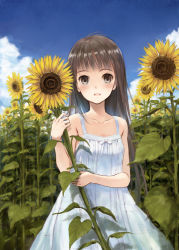 Rule 34 | 1girl, :d, arm across waist, arm up, blue sky, blush, brown eyes, brown hair, child, cloud, commentary request, day, dress, field, flower, flower field, fujita hidetoshi, happy, holding, holding flower, long hair, looking at viewer, open mouth, original, outdoors, plant, ribbon, sky, sleeveless, smile, solo, standing, sundress, sunflower, sunflower field, sunlight, white dress, white ribbon, yellow flower