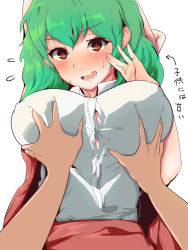 Rule 34 | 1girl, bad id, bad pixiv id, blush, grabbing another&#039;s breast, breasts, covered erect nipples, grabbing, green hair, groping, hekiga (freelot), highres, huge breasts, kazami yuuka, large breasts, looking at viewer, no bra, open mouth, puffy nipples, red eyes, shirt, short hair, simple background, sweat, sweatdrop, teeth, tongue, touhou, translation request, white background, white shirt