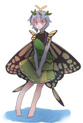 Rule 34 | 1girl, absurdres, antennae, aqua hair, astellsora, barefoot, blush, butterfly wings, closed mouth, dress, eternity larva, fairy, full body, green dress, hair between eyes, highres, insect wings, leaf, leaf on head, multicolored clothes, multicolored dress, one-hour drawing challenge, orange eyes, short hair, short sleeves, simple background, smile, solo, touhou, twitter username, white background, wings