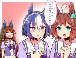 Rule 34 | 3girls, ahoge, animal ears, arms at sides, blank eyes, blue eyes, bow, bowtie, braid, bright pupils, brown hair, cesario (umamusume), collarbone, commentary request, crown braid, ear bow, ear covers, ear ornament, flying sweatdrops, gradient background, green bow, green eyes, hair between eyes, hair intakes, highres, horse ears, horse girl, huge ahoge, king halo (umamusume), medium hair, multicolored hair, multiple girls, one side up, outside border, own hands together, pink background, puffy short sleeves, puffy sleeves, purple bow, purple bowtie, purple eyes, purple shirt, rhein kraft (umamusume), sailor collar, school uniform, shared speech bubble, shirt, short hair, short sleeves, sidelocks, speech bubble, star ornament, summer uniform, tail, tracen school uniform, trait connection, translation request, two-tone hair, umamusume, upper body, wavy hair, white sailor collar, yonedatomo mizu