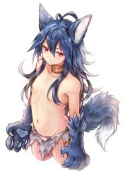 Rule 34 | 1girl, animal ears, animal hands, antenna hair, blue hair, breasts, claws, collar, collarbone, commentary request, convenient censoring, fenrir (shingeki no bahamut), granblue fantasy, hair between eyes, hair censor, hair over breasts, highres, long hair, navel, red eyes, shingeki no bahamut, simple background, small breasts, solo, sukemyon, tail, topless, very long hair, white background, wolf tail