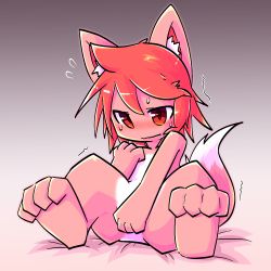 Rule 34 | 1girl, animal ear fluff, animal ears, animal feet, bed sheet, between legs, blush, body fur, closed mouth, covering privates, covering crotch, embarrassed, feet, female focus, flat chest, flying sweatdrops, fox ears, fox girl, fox tail, full body, furry, furry female, gradient background, grey background, hand between legs, hand on own chest, hand up, have to pee, highres, looking at viewer, matching hair/eyes, nose blush, original, red eyes, red fur, red hair, riipappa, short hair, sidelocks, simple background, sitting, solo, spread legs, sweat, tail, trembling, two-tone fur, wavy mouth, white fur
