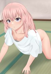 Rule 34 | 1girl, absurdres, all fours, blush, bottomless, breasts, closed mouth, downblouse, female focus, highres, indoors, inui sajuna, long hair, looking at viewer, naked shirt, no bra, on floor, pink hair, purple eyes, shadow, shirt, small breasts, solo, sono bisque doll wa koi wo suru, tatami, tomonashi