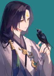 Rule 34 | 1boy, absurdres, bird, bishounen, chinese clothes, facial mark, forehead mark, hair over shoulder, hanfu, highres, long hair, looking down, low-tied long hair, male focus, rachelee618, solo, tassel, the tale of food, yellow eyes, zi tui yan