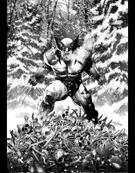 Rule 34 | 1boy, bodysuit, bone, claw (weapon), claws, coccolo martin, comic cover, commentary, cover, english commentary, greyscale, highres, looking at viewer, male focus, marvel, monochrome, muscular, official art, outdoors, solo, textless version, weapon, wolverine (x-men), x-men