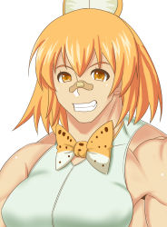 Rule 34 | 1girl, animal ears, bandaid, bandaid on face, bandaid on nose, bow, bowtie, grin, highres, kemono friends, looking at viewer, medium hair, muscular, muscular female, orange bow, orange bowtie, orange eyes, orange hair, serval (kemono friends), shirt, simple background, sleeveless, sleeveless shirt, smile, solo, taka (takahirokun), traditional bowtie, upper body, white background, white shirt
