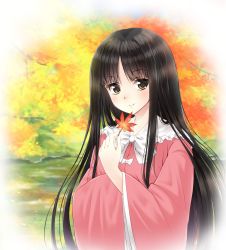 Rule 34 | 1girl, autumn leaves, black hair, bow, bowtie, brown eyes, commentary request, eyebrows, frilled shirt collar, frills, highres, holding, holding leaf, houraisan kaguya, japanese clothes, kimono, leaf, long hair, looking at viewer, maple leaf, pink kimono, smile, solo, touhou, upper body, usagi koushaku, very long hair, white bow, white bowtie, wide sleeves