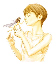 Rule 34 | 1girl, androgynous, barefoot, brown eyes, brown hair, eye contact, fairy, fairy wings, hands up, highres, long hair, looking at another, mini person, minigirl, nude, original, shirt, short hair, simple background, size difference, sleeveless, sleeveless shirt, upper body, very short hair, white background, white shirt, wings, y.coz