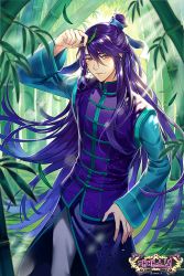 Rule 34 | 1boy, bamboo, bamboo forest, brown eyes, forest, gearous, hand on own hip, long hair, male focus, nature, outdoors, purple hair, saibai shounen, solo, standing, watermark