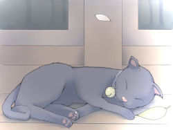 Rule 34 | akinbo (hyouka fuyou), animal focus, bell, cat, dos cat, no humans, original, os-tan, sleeping