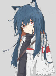Rule 34 | 1girl, animal ear fluff, animal ears, arknights, arms at sides, black shirt, blue hair, enunomiya, frown, grey background, high collar, highres, id card, jacket, long hair, looking at viewer, official alternate costume, shirt, signature, simple background, solo, texas (arknights), texas (winter messenger) (arknights), upper body, white jacket, wolf ears, wolf girl, yellow eyes