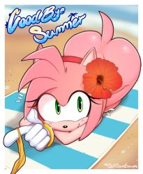 Rule 34 | 1girl, amy rose, artist name, ass, beach, beach towel, bottomless, delicious soup, english text, flower, furry, furry female, gloves, green eyes, hair flower, hair ornament, highres, looking at viewer, nude, outdoors, pointing, red flower, smile, solo, sonic (series), tail, towel, white gloves