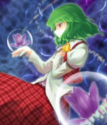 Rule 34 | 1girl, arm garter, ascot, brown eyes, bubble, female focus, flower, green hair, hand on own chest, kazami yuuka, parted lips, plaid, plaid skirt, plaid vest, profile, puffy sleeves, red eyes, shaded face, sharp (renweixia), short hair, skirt, skirt set, solo, touhou, vest