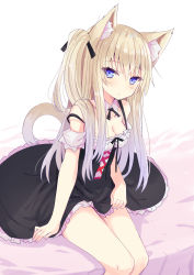 Rule 34 | 1girl, absurdres, animal ear fluff, animal ears, bare shoulders, bed sheet, black dress, black ribbon, blonde hair, blue eyes, breasts, cat ears, cat girl, cat tail, cleavage, closed mouth, collar, commentary request, detached collar, detached sleeves, dress, feet out of frame, frilled dress, frills, gradient hair, grey hair, hair between eyes, hair ribbon, highres, hizaka, long hair, looking at viewer, medium breasts, multicolored hair, one side up, original, puffy short sleeves, puffy sleeves, ribbon, short sleeves, sitting, solo, strap slip, tail, very long hair, white background, white collar, white sleeves, wing collar