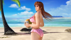 Rule 34 | 1girl, 3d, artist request, ass, ball, beach, breasts, dead or alive, dead or alive xtreme 3 fortune, female focus, highres, holding, holding ball, kasumi (doa), large breasts, ocean, official art, official wallpaper, outdoors, sky, solo, volleyball (object), wallpaper