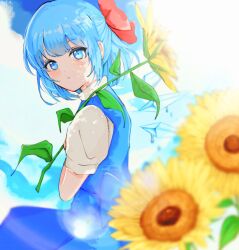 Rule 34 | 1girl, blue bow, blue dress, blue eyes, blue hair, bow, cirno, closed mouth, detached wings, dress, fairy, flower, hair bow, highres, ice, ice wings, looking at viewer, shirt, short hair, short sleeves, solo, ssom (galam79389), sunflower, touhou, white shirt, wings, yellow flower